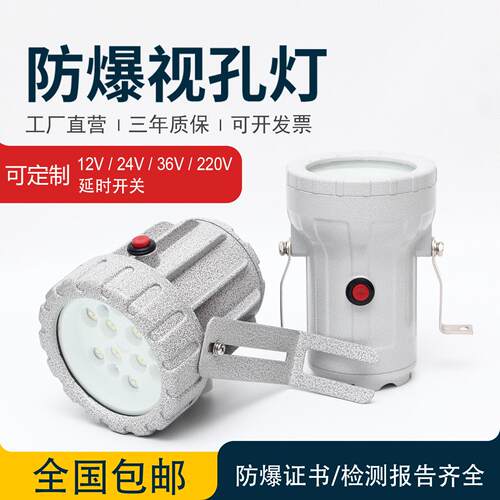 防爆视孔灯LED反应釜视镜灯5w10w20w内视内孔灯延时12V24V36V220V