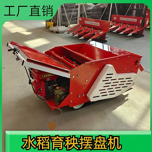 可移动育苗机 农用水稻育秧摆盘机 播种覆土一体机