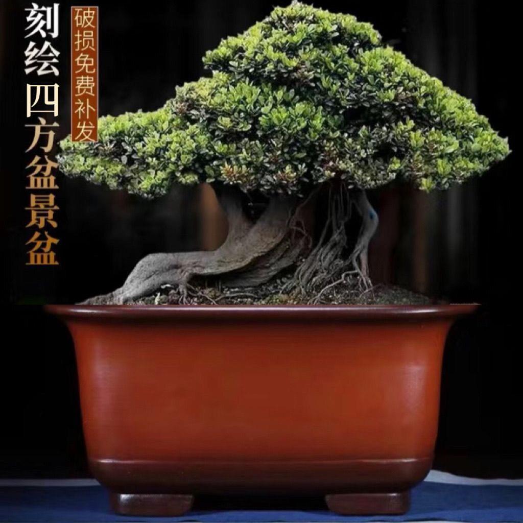 宜兴紫砂花盆四方形盆景盆陶种树瓷缸庭院紫砂盆景特大号大型正方