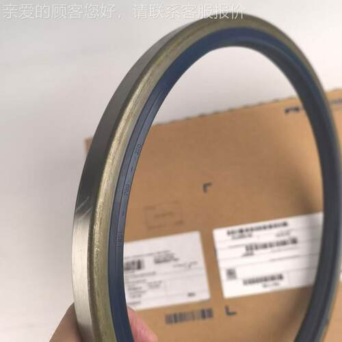 德国FRSEUDENBGERB2USL油封imrit油封B2U260/300/0/CF2W骨架油封