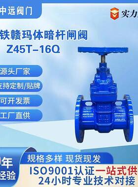 暗杆防护闸阀Z45T-16Q球铁赣玛体通径不锈钢杆铜芯暗杆法兰闸阀
