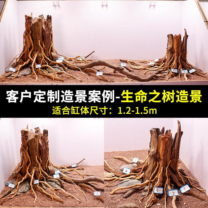 鱼缸造景沉木树桩生命之树骨架定制天然木头南美缸树根树洞紫柚木