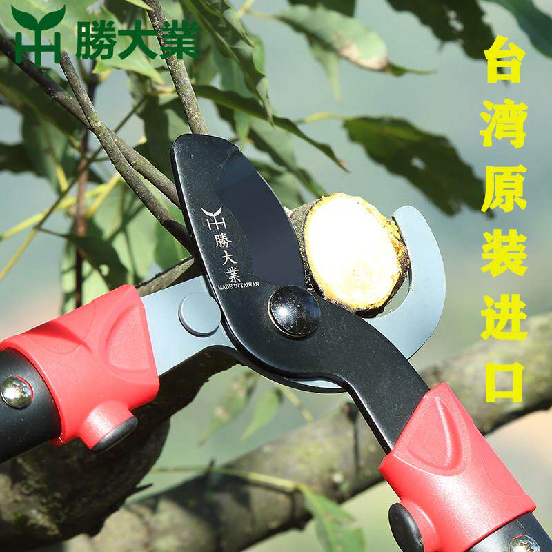 胜大业园林粗枝剪刀粗枝剪果树园艺大力剪绿化园林修剪树枝修枝