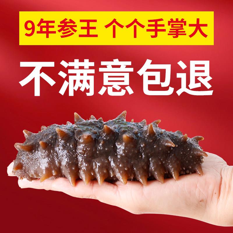 大连9年深海野生底播即食海参2500g辽刺参鲜活加工单个装非淡干