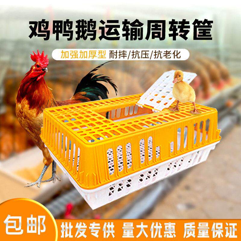 家禽鸡笼运输笼塑料周转箱筐成鸡鸭鹅鸽子笼子家用大号兔笼养殖笼