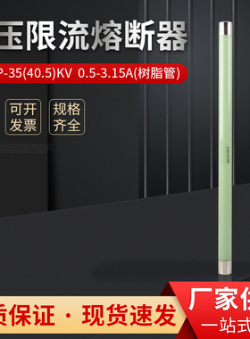 XRNP1-12kv高压24限流35熔断器20保险40.5互感PT丝管10A8A6.3A4A7