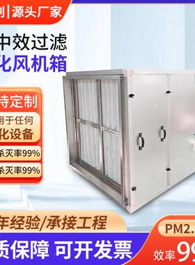 初中高效化过风机箱臭活性炭吸附净FQH除味除滤风机箱