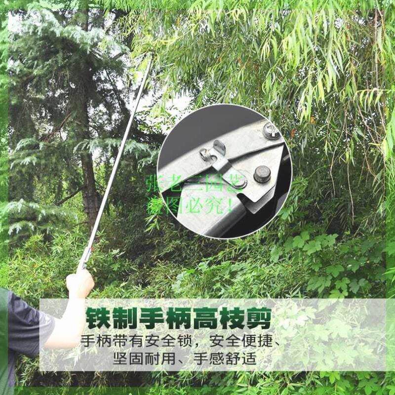新枝剪修枝剪剪刀修剪园林疏花稀果剪枝高空剪高枝花剪