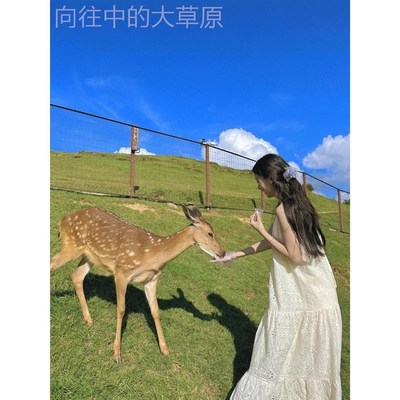 新品新疆草原西北西藏旅行穿搭女C装连衣裙川西高级感旅游吊带裙