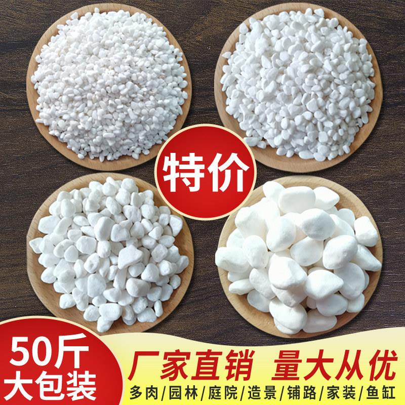 天然白色小石头庭院铺面造景鱼缸用白石子鹅卵石铺路装饰