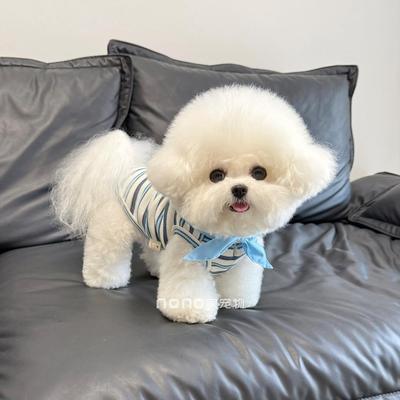 狗狗衣服夏天薄款学院风条纹背心透气宠物猫咪比熊泰迪带牵引扣