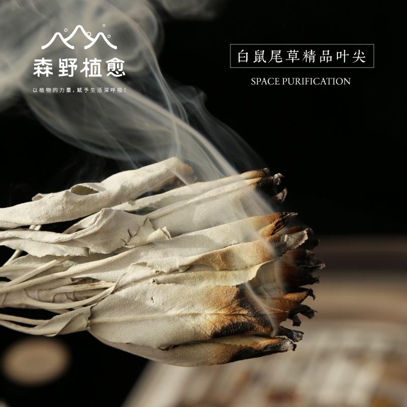 森野植愈 白鼠尾草整叶尖 white sage美国加州进口制干整叶100g
