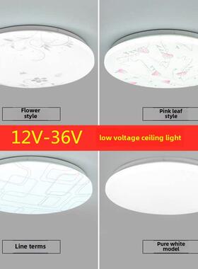 12V24V36Vled低压吸顶灯建筑工地采矿船Rv交直流走廊桥面包白光灯
