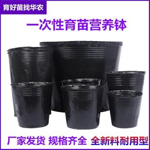 营养钵黑色塑料育苗杯一次性营养杯育苗袋脐橙杯树苗杯加厚营养杯
