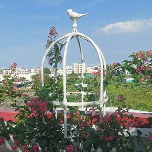 高档欧式花架爬藤架铁艺花柱架子蔷薇月季藤架支撑攀爬固定花支架