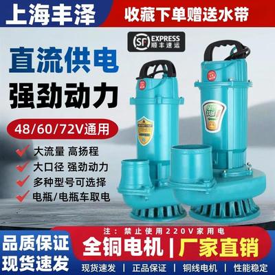永磁无刷直流电动车潜水泵48-72V通用大流量电瓶抽水泵农用灌溉