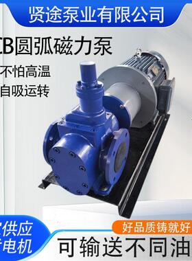 铸铁圆弧磁力泵无泄漏磁力驱动泵YCB20/0.6化工用自吸泵电动泵