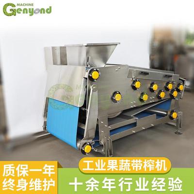 厂家直供工业果蔬带榨机中药浆仁果全自动商用304果蔬榨汁机
