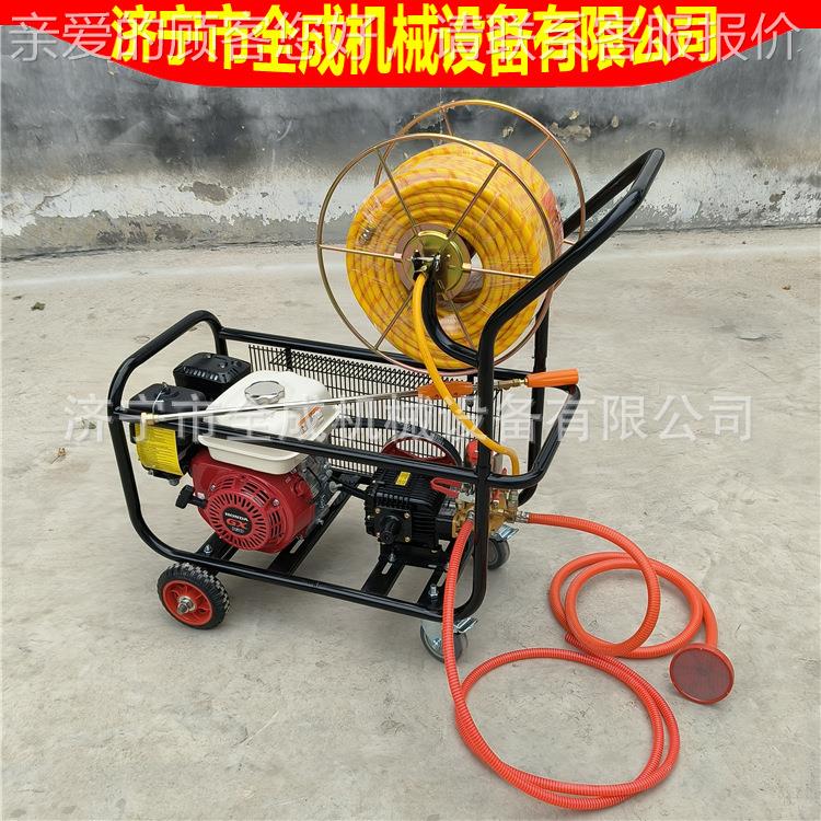 消杀防疫机清洗 车式园林手推高压汽油柴油毒打28药机 养殖推场消