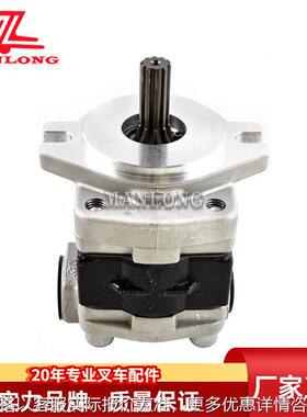 适用海迈克叉车配件液压泵10吨 TMG1A20F2H5-R48D