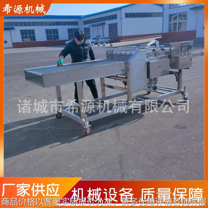 800型麻花上糖浆机上浆机自动加热山楂球上糖机 山楂球裹糖设备