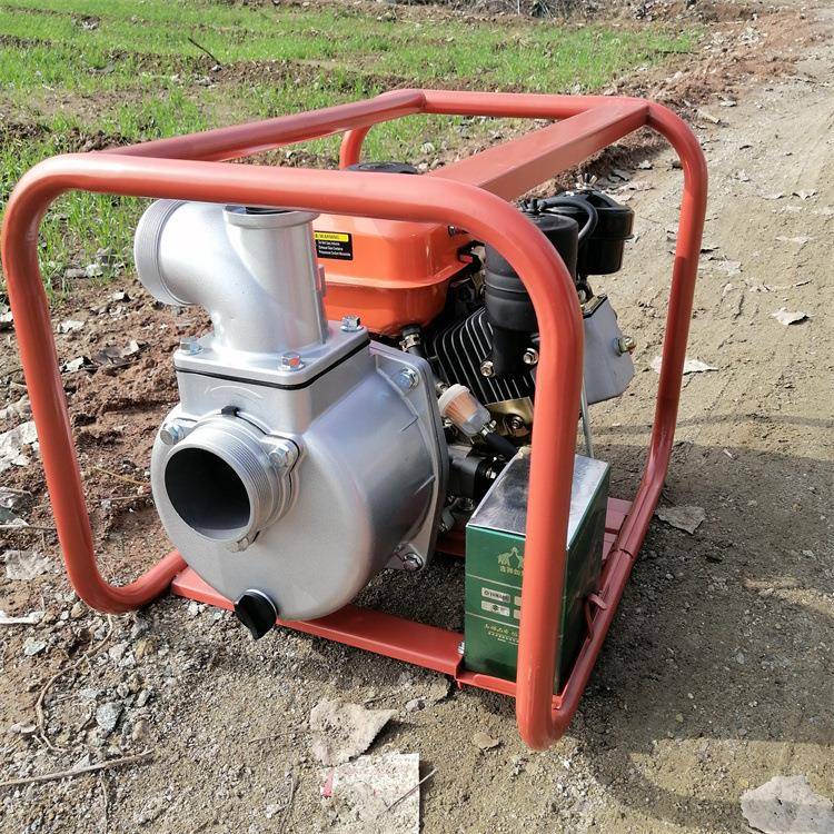 双叶轮高扬程喷灌泵农田灌溉抽水机市政防汛手推汽油柴油抽水泵