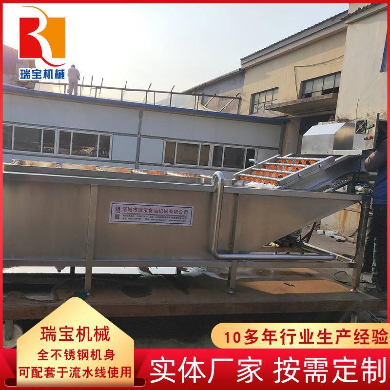 QP-800型蔬菜清洗机果蔬气泡清洗机大枣连续式清洗机