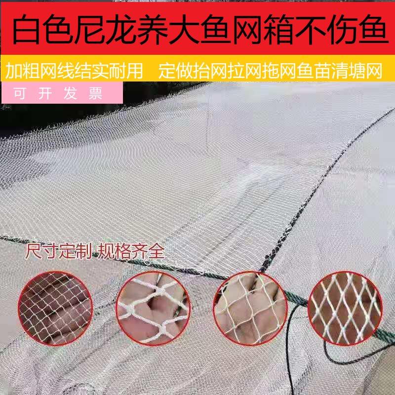 白色尼龙有结存鱼不伤鱼水产养殖大鱼网箱鱼苗抬拉网柔软加粗定做