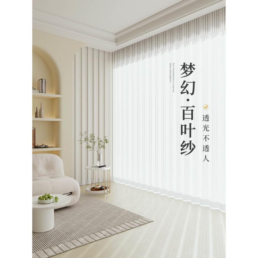 梦幻竖百叶纱帘透光不透人窗帘客厅阳台卧室白纱飘窗窗纱2024新款