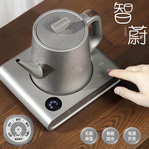 智蔚纯钛电热水壶智能恒温烧水壶自动上水泡茶专用高端家用电茶壶