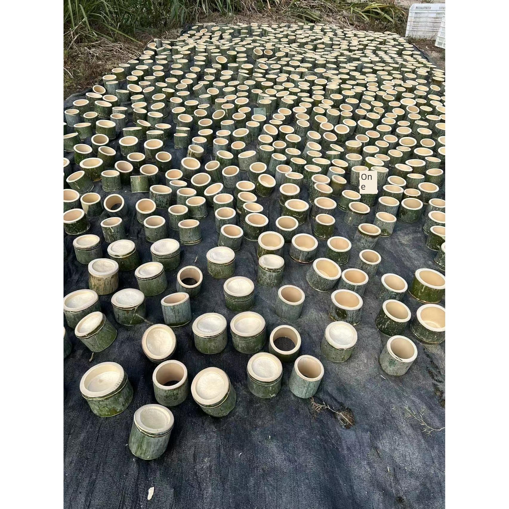 新鲜绿竹筒奶茶杯冰淇淋杯手工奶茶店摊位商业定制竹筒