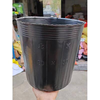 加厚营养钵树苗营养杯育苗杯加托一次性花盆黑色软塑料育苗盆加塞