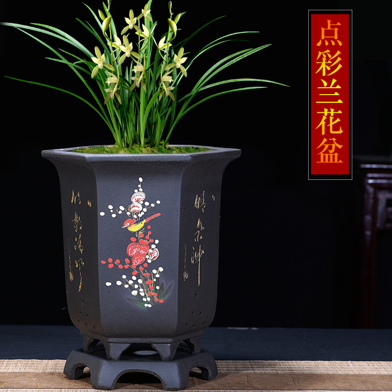 特大兰花盆紫砂花盆中国风黑色点彩兰花盆蕙兰墨兰花专用花盆陶瓷