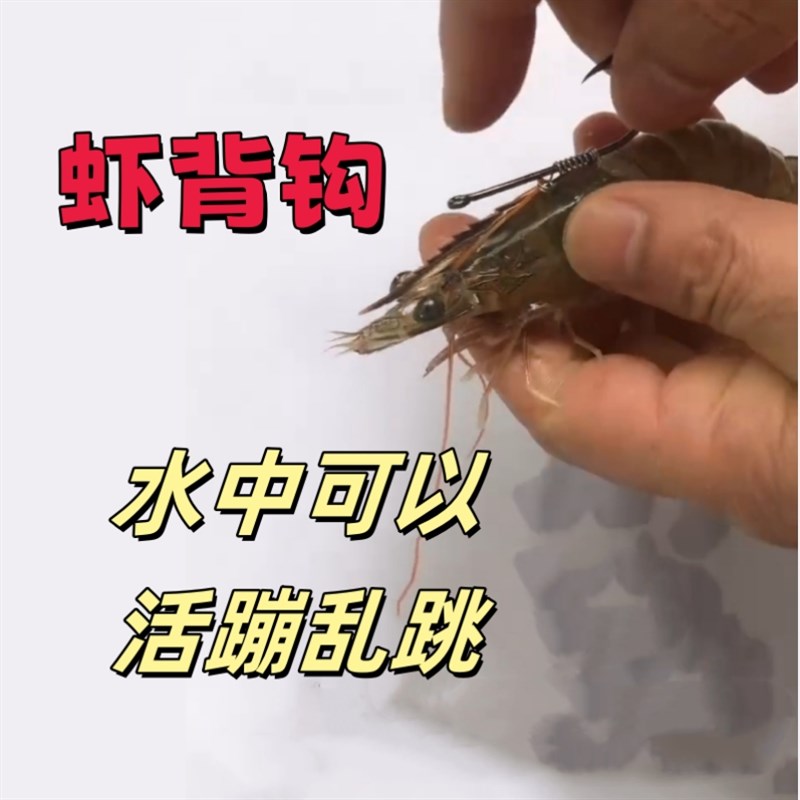 挂活虾背钩弹簧卡子扣皮筋路亚海钓鲈鱼鳜鱼筏钓矶钓专用装备配件图片