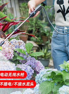 电动水枪花洒浇花手持便携式电动喷雾枪家用户外喷药自动吸水水枪