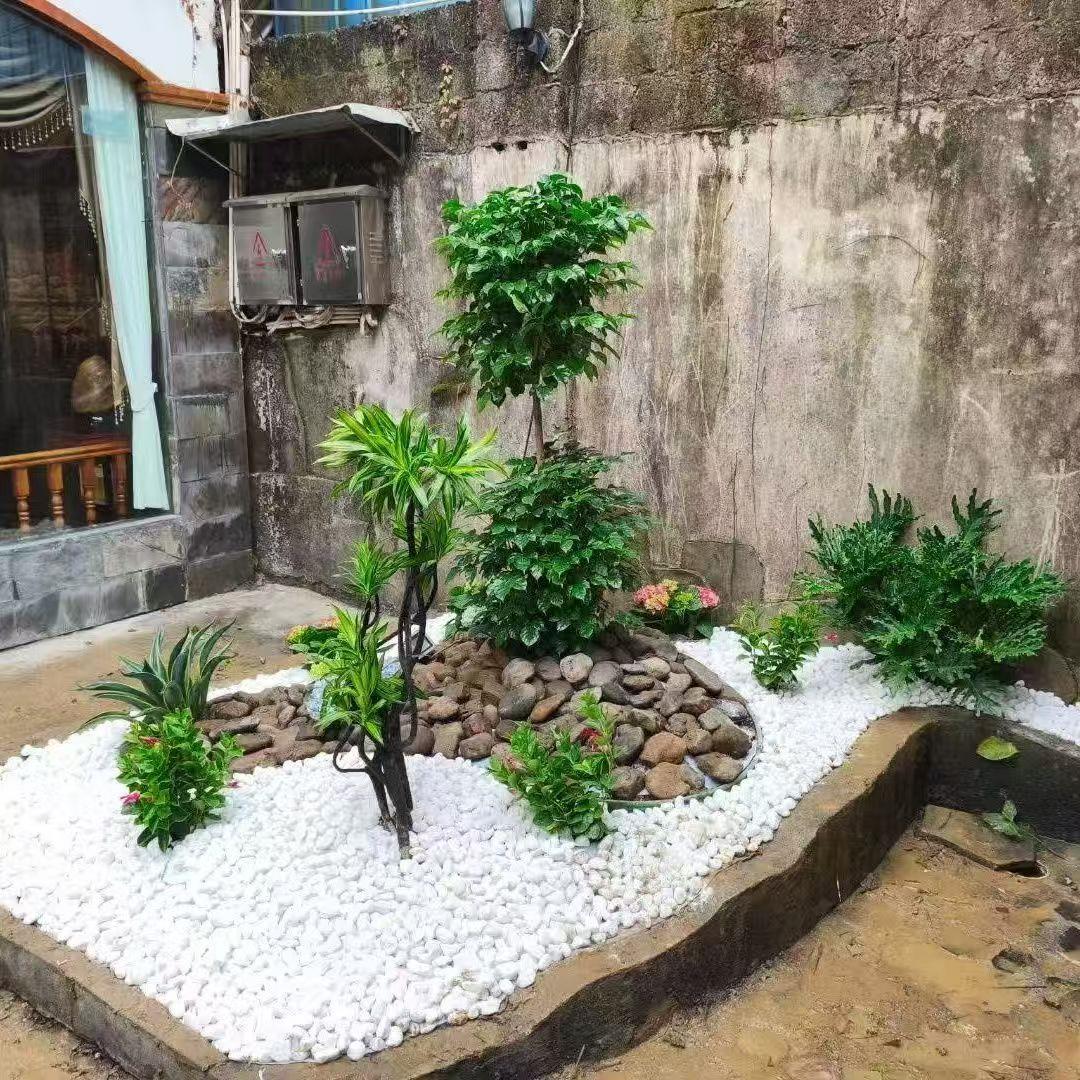 广西天然白石子园林饰品鹅卵石造景装饰花盆鱼缸白色石子