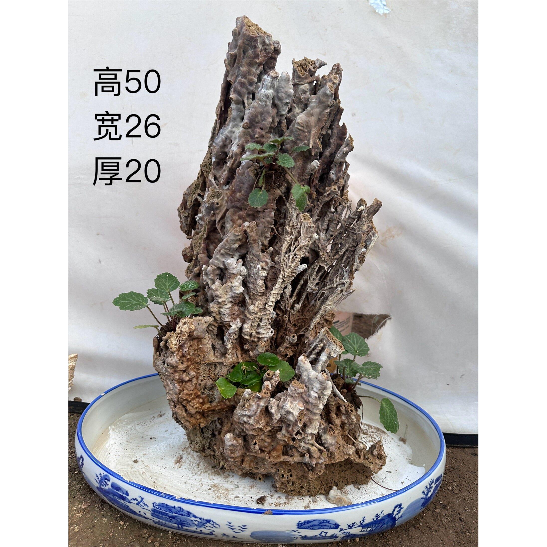 纯天然上水石钟乳石吸水石假山盆景鱼缸造景石天然芦管石