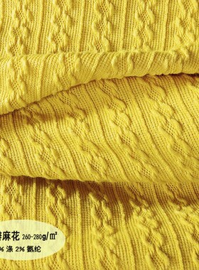 针织粗针提花f260g双辫麻花泡泡涤氨纶柔软弹力毛衫外套服饰布面