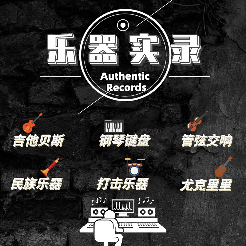 乐器实录代录 吉他键盘贝斯架子鼓 D弦乐管乐 民乐打击乐 音频录