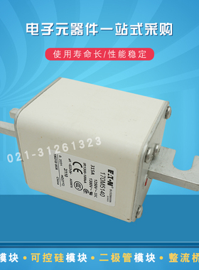 快速熔断器保险丝170M5165 5166 5167 5168 5174 517S5 5176 5177