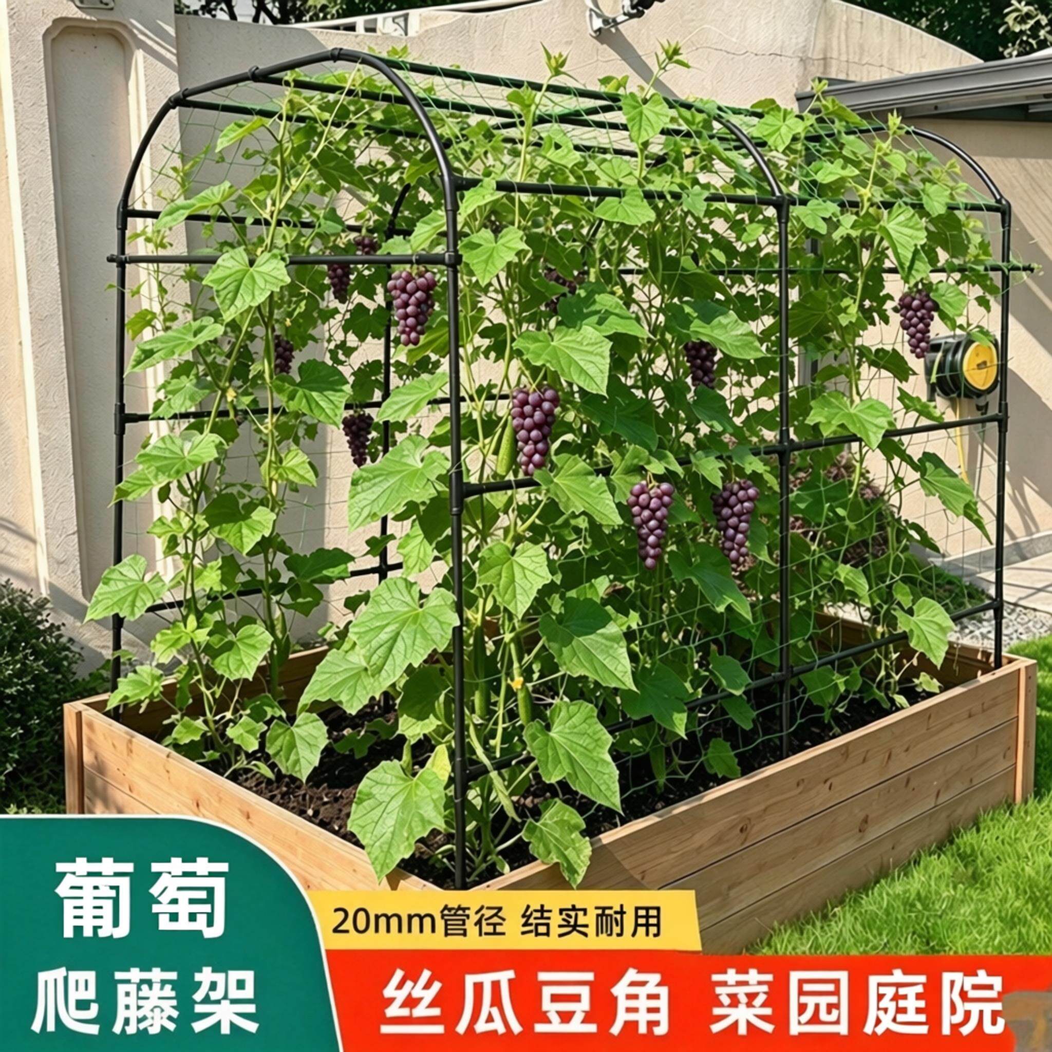 庭院葡萄专用架菜园易安装爬藤架豆角丝瓜支架园艺攀爬架子不占地