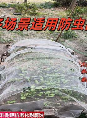 菜园樱桃纱大棚种菜防虫网果园网罩防护果树室外专用防鸟阳台葡萄