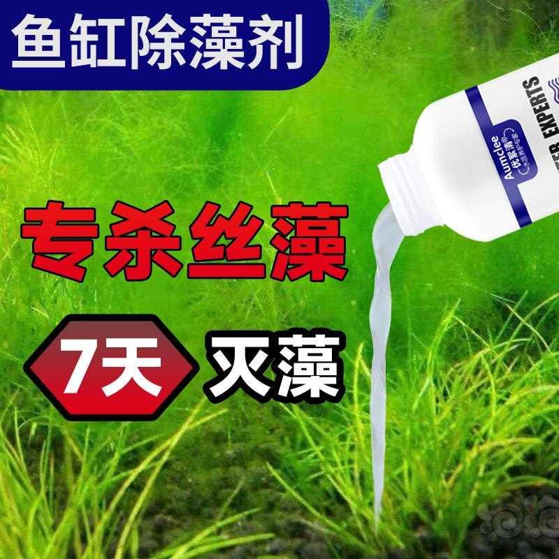 鱼缸除藻剂灭藻剂去青苔除褐藻绿水绿藻黑毛藻丝藻清除水质净化剂