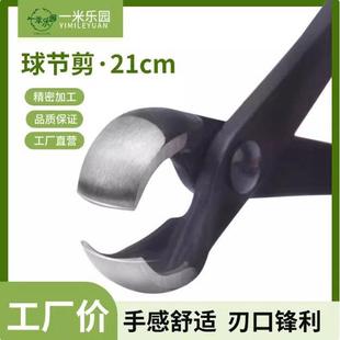 盆景制作工具球节剪球形剪球钳剪子盆景马眼造型剪养花专用工具