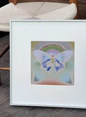 Metamorphose蝴蝶视觉艺术客厅装饰画北欧小众卧室挂画桌面摆画
