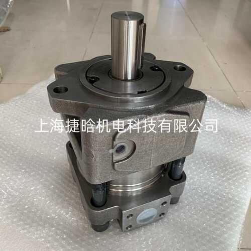 MAO XIN齿轮泵 IGP PUMP IGP6-M100-SF IGP4-M032-SF 伺服油泵