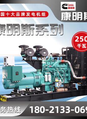 250千瓦发电机组沙厂常用 200,300kw发电机组价格全自动ATS