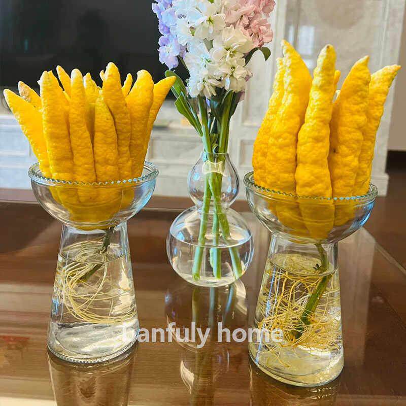 佛手柑花瓶水培器皿花盆观赏插花创意陶瓷玻璃水培摆件容器养花