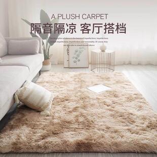 德国客厅卧室床边毯加厚轻奢沙发毛绒地垫高级感房间免洗家用地毯