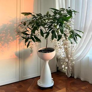 小蛮腰创意高款花盆艺术北欧设计落地高脚垂丝茉莉宝莲灯镁泥花盆